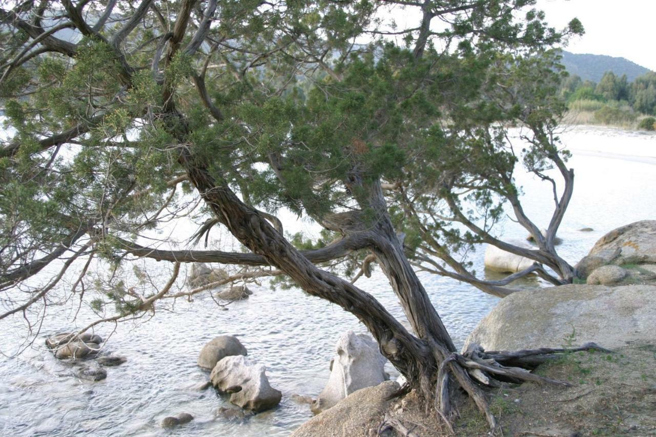 B&B Il Dodo Monastir Buitenkant foto